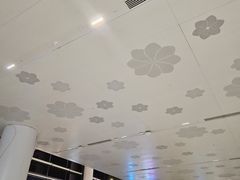 -广州白云国际机场-T2航站楼