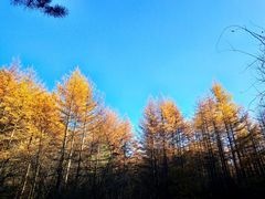 -秦岭风景区