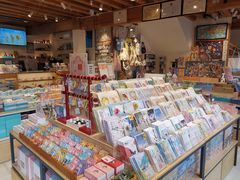 零售区-猫的天空之城概念书店(丽江古城饮玉巷店)