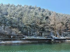 -四明山国家森林公园