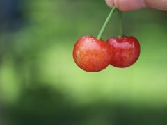 -樱桃山旅游景区