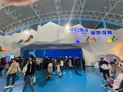 -泉城欧乐堡海洋极地世界