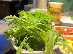 -熊喵来了火锅(太原里第2分店)