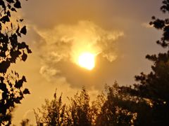 -西塔大冷面(市府大路店)