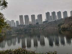 -重庆彩云湖湿地公园