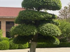 -太阳宫公园