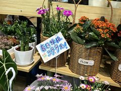 -7fresh七鲜(大族广场店)
