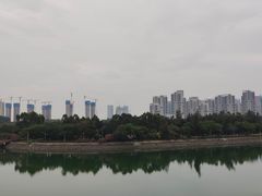 -五缘湾湿地公园