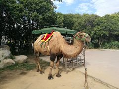 -西安秦岭野生动物园