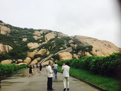-洋山深水港