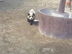 -茅山东方盐湖城景区