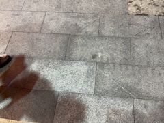 -大鸭梨烤鸭店(金顶街店)