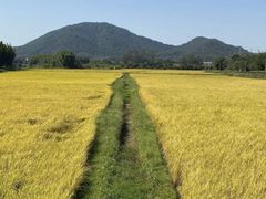 -风云岭森林公园