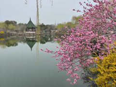 -无锡蠡湖国家湿地公园-蠡园