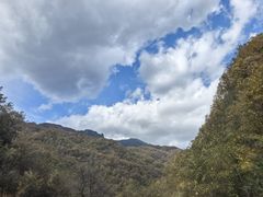 -牛背梁国家森林公园