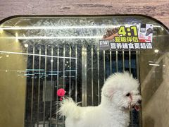 -宠物世家(仲盛世界商城店)