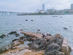 -黑石礁公园