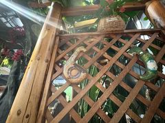 -草原塞蛮羊火锅城(港湾店)