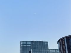 -柠檬树茶餐厅(海雅缤纷城店)