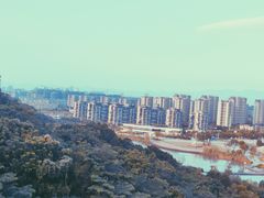 -飞凤山奥体公园
