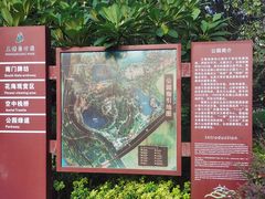 -王借岗森林公园