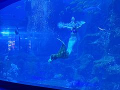 -威海华夏城景区