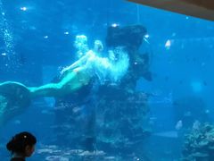 -海棠湾洲际-涛·海底餐厅·美人鱼·自助餐·海底隧道