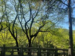 -南宋胡记(杭州灵隐寺店)