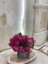-安琪朵朵独栋花园月子中心