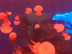 -多彩贵州城极地海洋世界