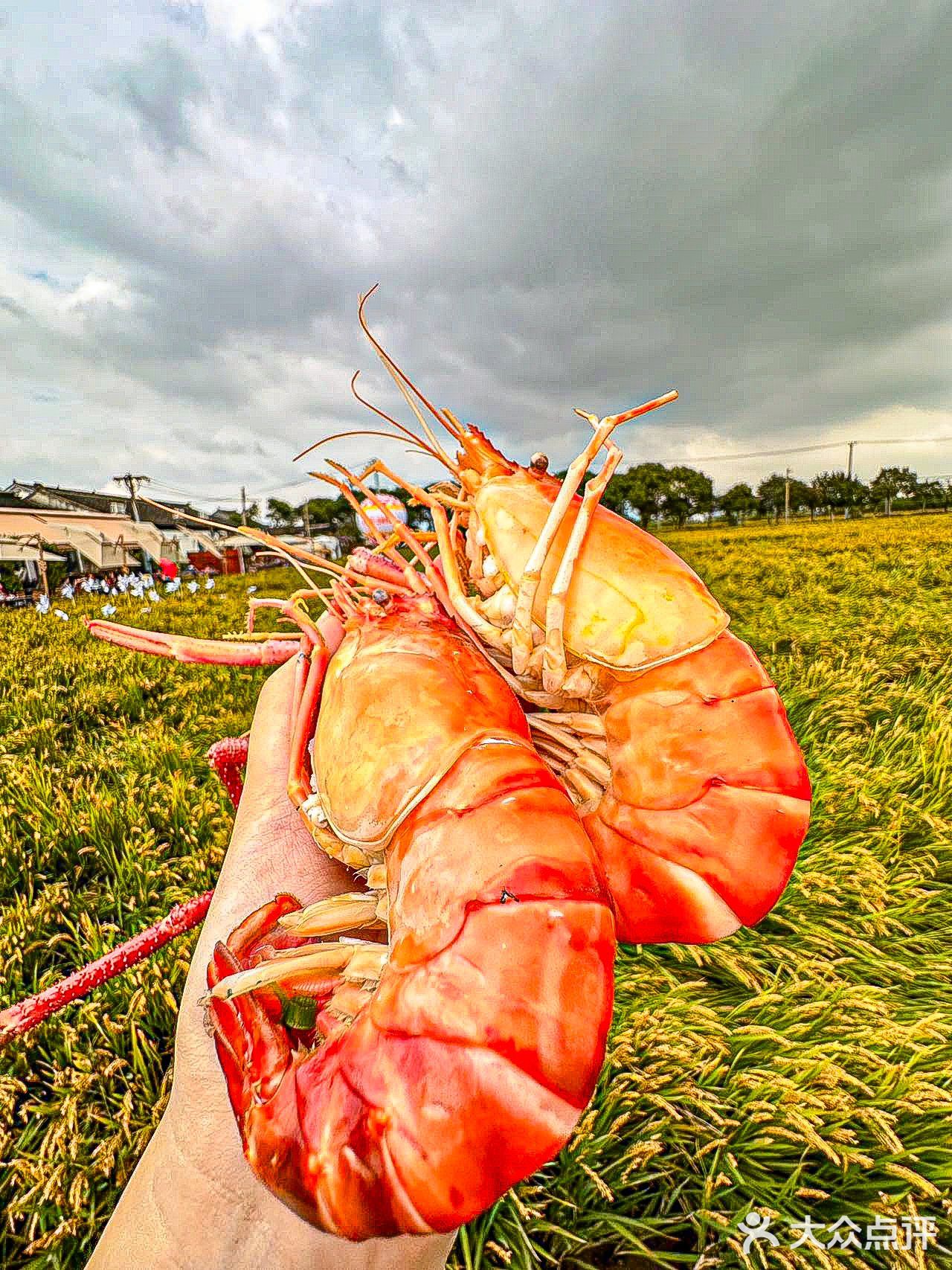 走进油画  吃一顿带艺术气氛的螃蟹