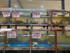 水产区-宏佳丰味蟹馆(洛溪店)