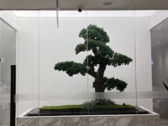 -柏乐口腔医院·舒适化无痛种植牙中心(东盟商务区院)