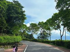 -火炉山森林公园