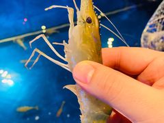 -钳真多钓虾馆·小龙虾海鲜烧烤(九六广场店)