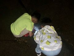 -日照灯塔风景区