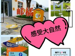 -前小桔亲子创意农场·草莓采摘·露营烧烤