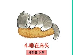 -北京派仕佳德动物医院·超导核磁·CT·神经科·骨科·内外科·急重症管理中心