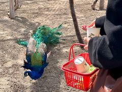 -水上乐园·欢乐世界