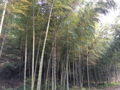 -黄公望隐居地