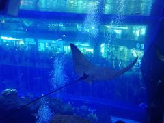 -成都浩海立方海洋公园