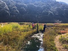 -广州市石门国家森林公园