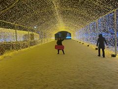 -长春世界雕塑园冰雪艺术天地