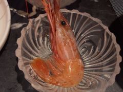 -半岛翡丽海鲜自助餐厅(观风亭店)