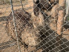 -宿豫区运河湾森林动物园