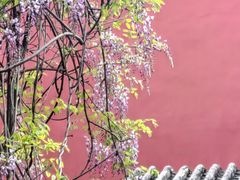 -北京市劳动人民文化宫(太庙)