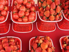 -金谷域澳洲庄园