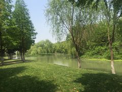 -昆山城市生态森林公园