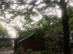 -天怡·鱼工厂(梅溪湖店)