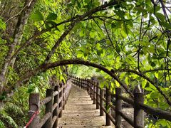 -广州市石门国家森林公园